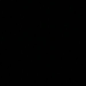 Meet your Posher, Leighton